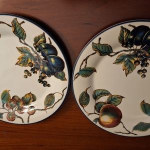 Pier 1 Macintosh Dinner Plates